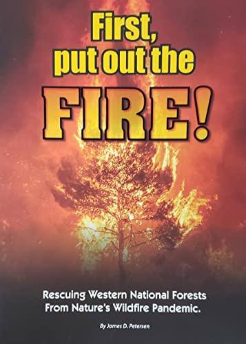 Stock image for First, Put Out the Fire! for sale by Red's Corner LLC
