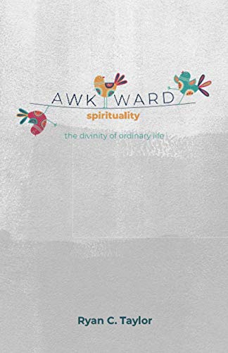 Imagen de archivo de Awkward Spirituality: The Divinity of Ordinary Life a la venta por Goodwill of Colorado
