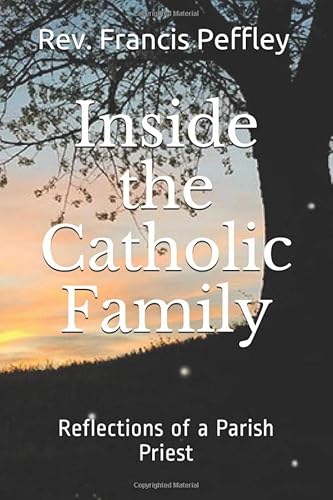 Imagen de archivo de Inside the Catholic Family: Reflections of a Parish Priest a la venta por SecondSale