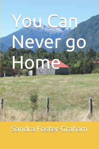 Stock image for You Can Never go Home for sale by Lucky's Textbooks