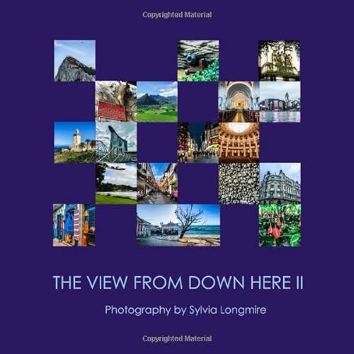 Imagen de archivo de The View from Down Here II: Photography by Sylvia Longmire a la venta por Revaluation Books