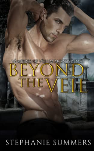 Stock image for Beyond the Veil (Vampires of Velum Mortis) for sale by Revaluation Books