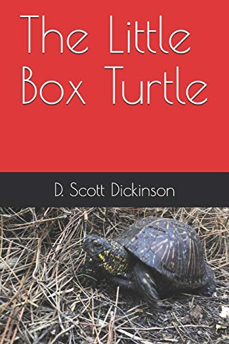 Imagen de archivo de The Little Box Turtle a la venta por GreatBookPrices