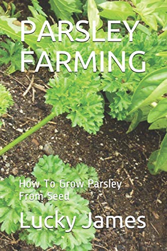 

Parsley Farming: How To Grow Parsley From Seed