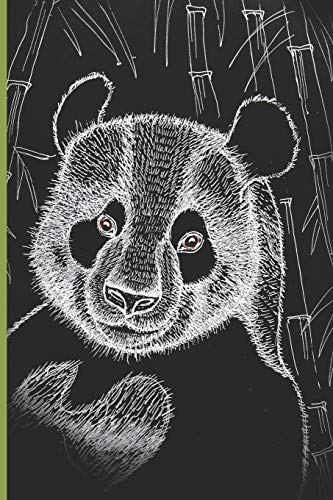Stock image for Panda Bear Journal: Panda Bear Journal: Start Each Day With A Grateful Heart: 120 Pages 6"x9" Blank Lined Notebook, Planner or Diary for sale by Revaluation Books