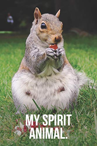 My Spirit Animal: Hungry Squirrel Journal by Golding Notebooks: Brand New  Paperback (2019) | Revaluation Books