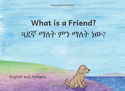 Stock image for What is a Friend: In English and Amharic for sale by Revaluation Books
