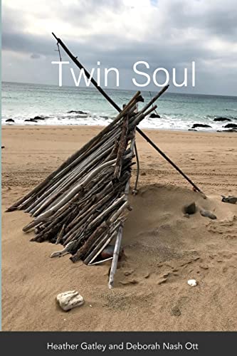 Stock image for Twin Soul for sale by Lucky's Textbooks