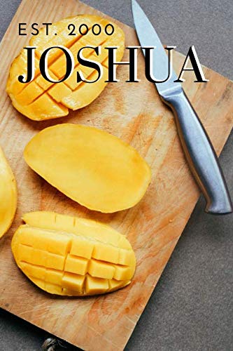 Stock image for Joshua for sale by Revaluation Books