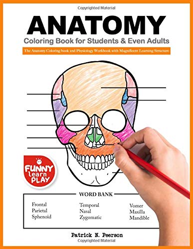 9781795305457: Anatomy Coloring Book for Students & Even Adults: The Anatomy Coloring book and Physiology Workbook with Magnificent Learning Structure