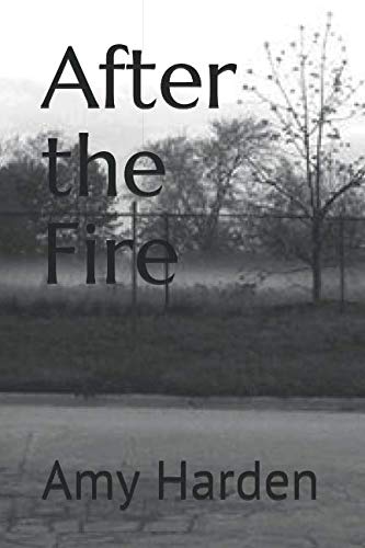 9781795350136: After the Fire (The Fire Series)