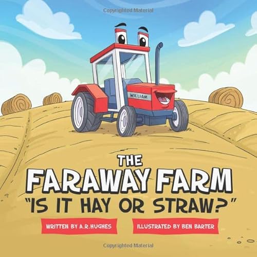 9781795809986: Is it Hay or Straw?