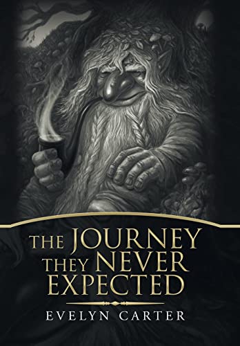 9781796013610: The Journey They Never Expected