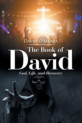 Stock image for The Book of David: God, Life, and Recovery for sale by ThriftBooks-Atlanta