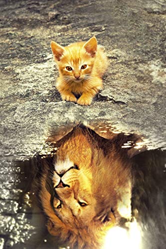 Beispielbild fr Cats Notebook 01: Tigger's lionlike Courage: (Journal, Diary), Softcover 6" x 9" (Volume 1) zum Verkauf von Revaluation Books