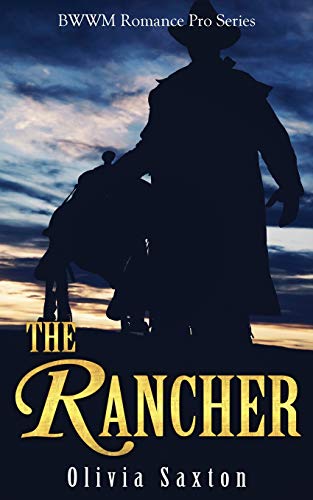 Imagen de archivo de The Rancher (BWWM Romance Pro Series) a la venta por Better World Books