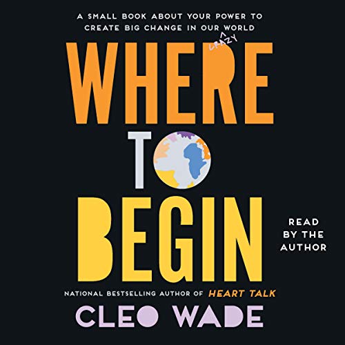 9781797103587: Where to Begin: A Small Book About Your Power to Create Big Change in Our Crazy World