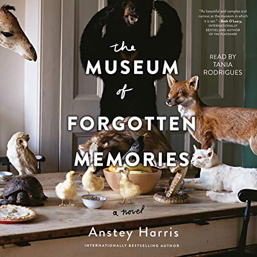 9781797111964: The Museum of Forgotten Memories: A Novel