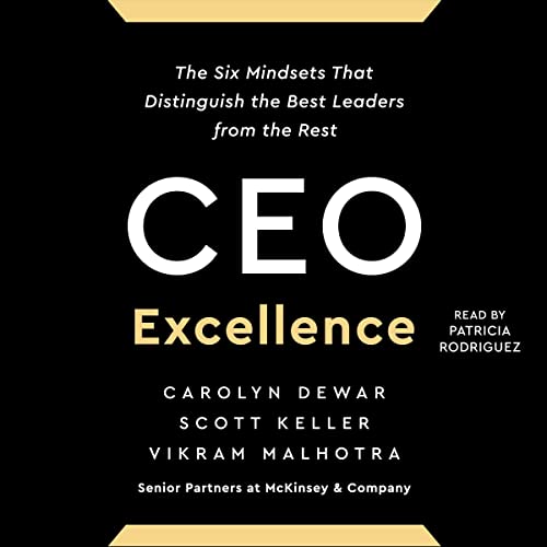 Stock image for Ceo Excellence: The Six Mindsets That Distinguish the Best Leaders from the Rest for sale by Revaluation Books