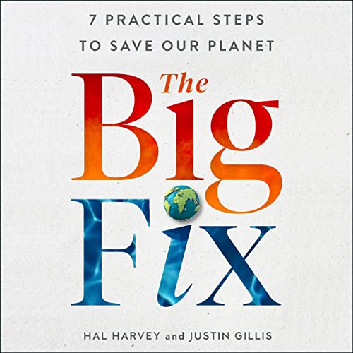 Stock image for The Big Fix: Seven Practical Steps to Save Our Planet for sale by Revaluation Books
