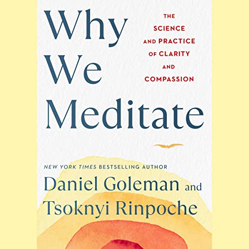 Stock image for Why We Meditate: The Science and Practice of Clarity and Compassion for sale by Revaluation Books