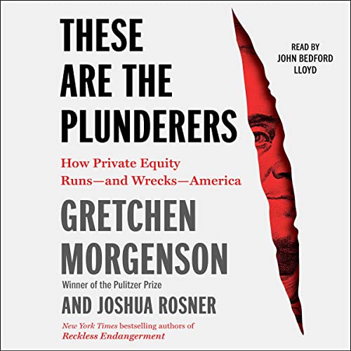 Stock image for These Are the Plunderers: How Private Equity Runs - and Wrecks - America for sale by Revaluation Books