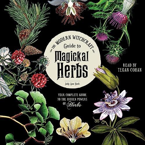 Beispielbild fr The Modern Witchcraft Guide to Magickal Herbs: Your Complete Guide to the Hidden Powers of Herbs zum Verkauf von Revaluation Books