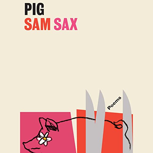 Stock image for Pig for sale by Revaluation Books