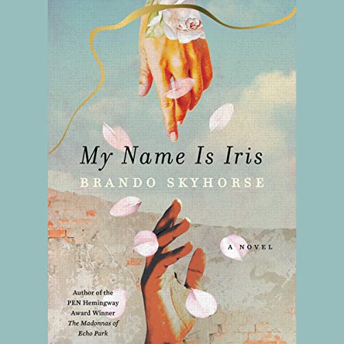 Beispielbild fr My Name Is Iris zum Verkauf von Revaluation Books