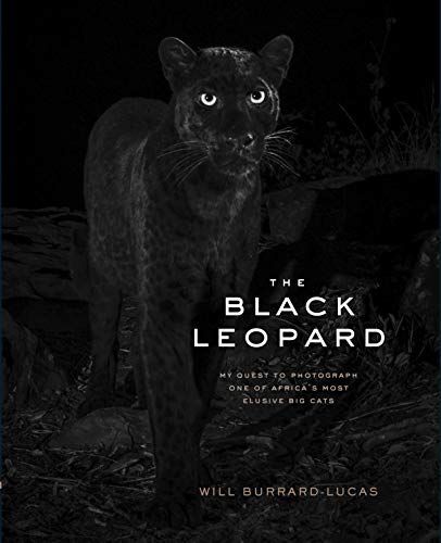 Imagen de archivo de The Black Leopard: My Quest to Photograph One of Africas Most Elusive Big Cats a la venta por Goodwill Books