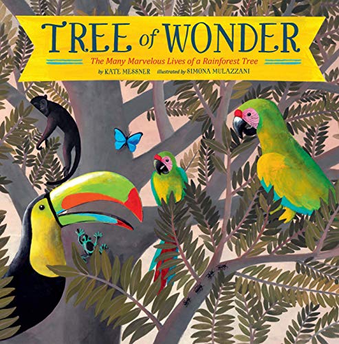 Stock image for Tree of Wonder: The Many Marvelous Lives of a Rainforest Tree for sale by SecondSale