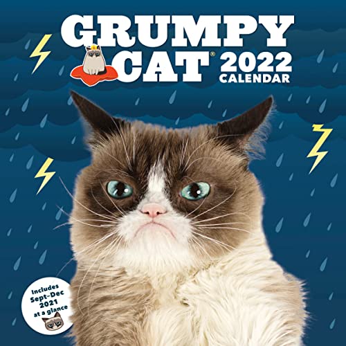 9781797209715: Grumpy Cat 2022 Wall Calendar