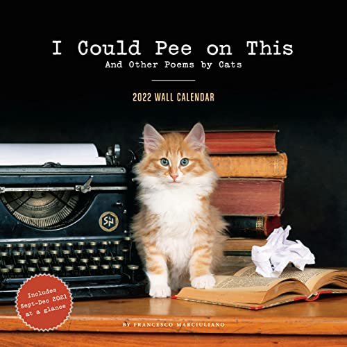 Stock image for I Could Pee on This 2022 Wall Calendar for sale by Bookoutlet1