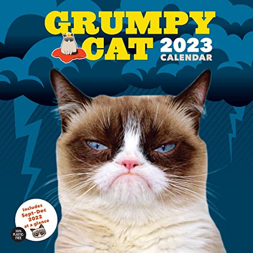 Beispielbild fr Grumpy Cat 2023 Wall Calendar zum Verkauf von GF Books, Inc.