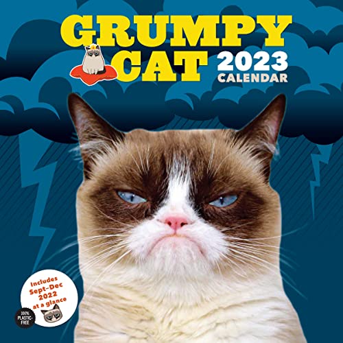 9781797216515: Grumpy Cat 2023 Wall Calendar
