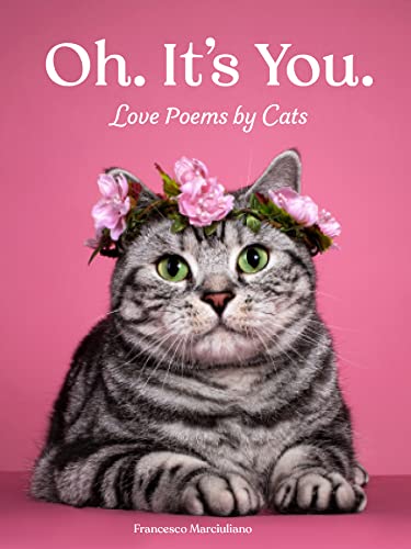 Beispielbild fr Oh. Its You.: Love Poems by Cats zum Verkauf von Goodwill of Colorado