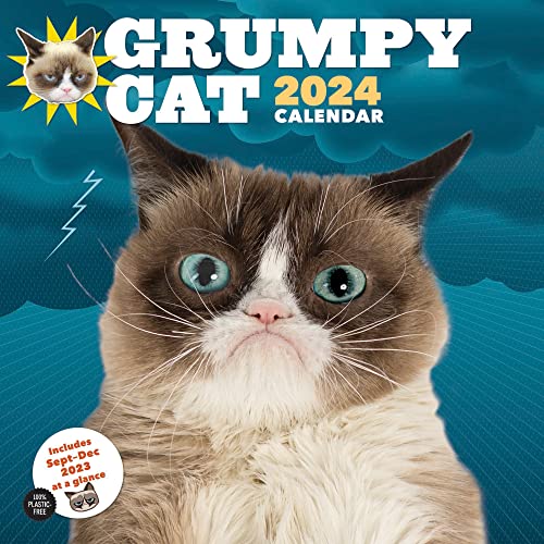Beispielbild fr Grumpy Cat 2024 Wall Calendar zum Verkauf von GF Books, Inc.