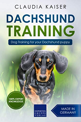 Beispielbild fr Dachshund Training: Dog Training for your Dachshund puppy zum Verkauf von WorldofBooks