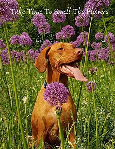 Stock image for Take Time To Smell The Flowers: Sketchbook with Dog cover: 100 pages of 8.5"x11" Dot Grid Paper for Journaling, List Making, Sketching, Drawing, or Doodling (Sketchbooks For Dog Lovers) for sale by Revaluation Books