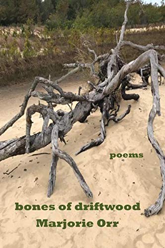 Stock image for bones of driftwood: poems for sale by Revaluation Books
