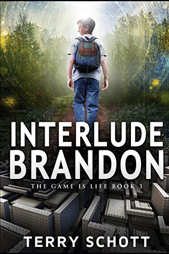 Stock image for Interlude-Brandon (The Game is Life) for sale by Friends of  Pima County Public Library