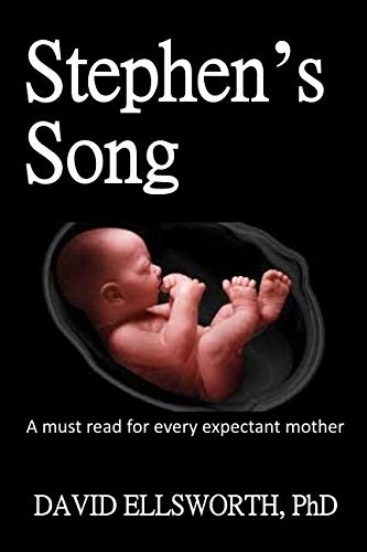 Stock image for Stephen's Song: A must read for every expectant mother for sale by Revaluation Books