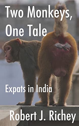 Stock image for Two Monkeys, One Tale: Expats in India for sale by ThriftBooks-Dallas