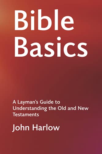 Imagen de archivo de Bible Basics: A Layman's Guide to Understanding the Old and New Testaments a la venta por Irish Booksellers