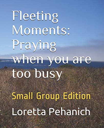 Beispielbild fr Fleeting Moments: Praying when you are too busy: Small Group Edition zum Verkauf von Lucky's Textbooks