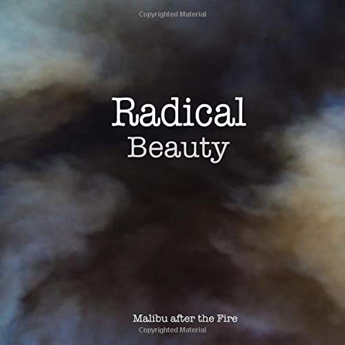 Stock image for Radical Beauty: Malibu after the Fire for sale by Irish Booksellers