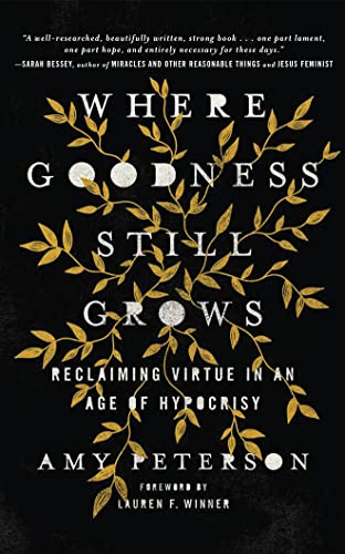 Beispielbild fr Where Goodness Still Grows: Reclaiming Virtue in an Age of Hypocrisy zum Verkauf von Buchpark