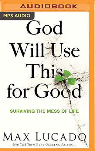 Beispielbild fr God Will Use This for Good: Surviving the Mess of Life zum Verkauf von Buchpark