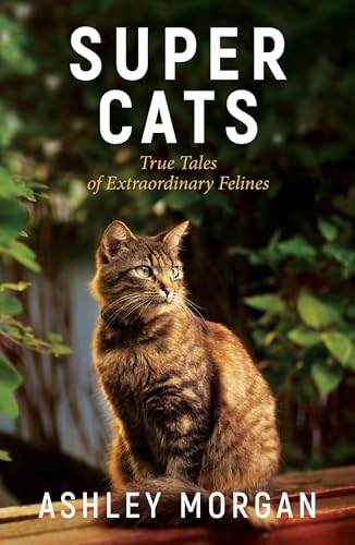 Stock image for Super Cats: True Tales of Extraodinary Felines for sale by Bookoutlet1