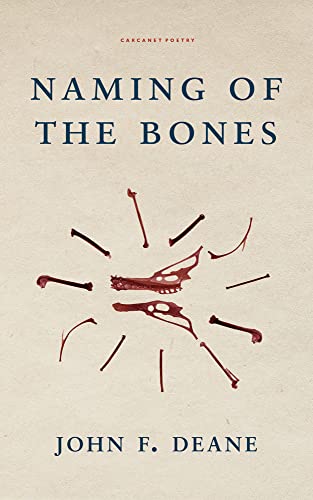 Beispielbild fr Naming of the Bones zum Verkauf von WorldofBooks